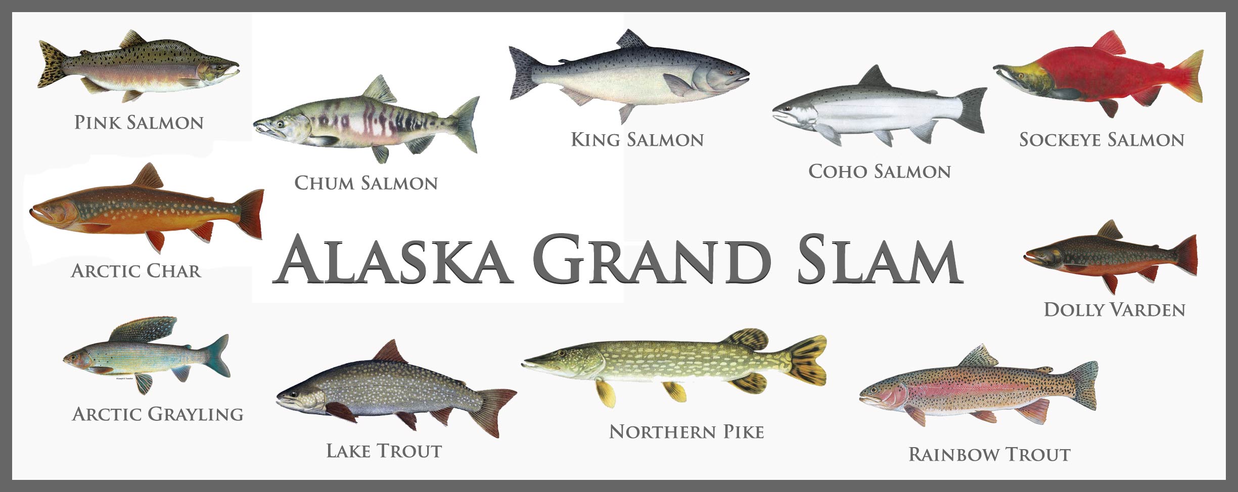 Alaska Fishing Game