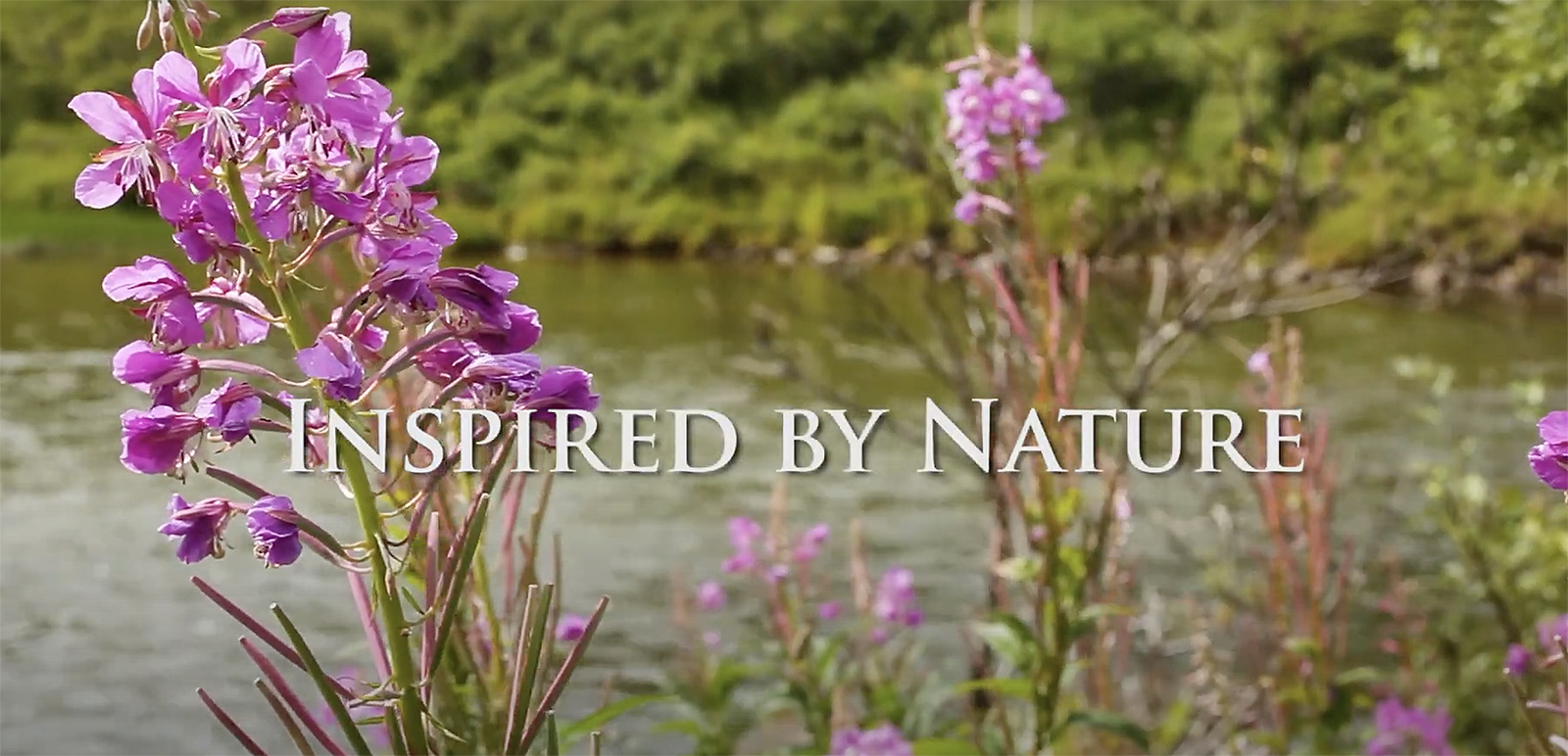 Nature Awaits | One Minute Alaska Vacation