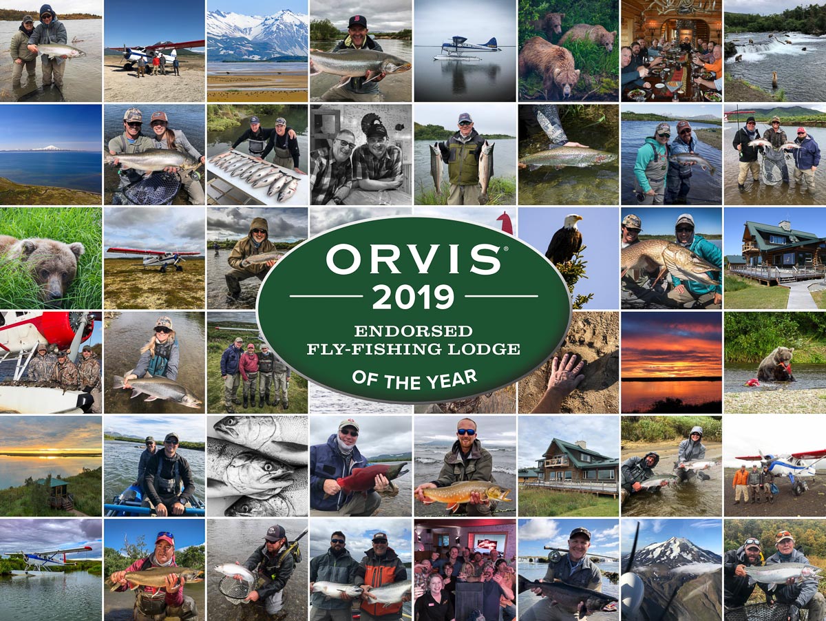 2019 Orvis Endorsed Lodge of the Year | Crystal Creek Lodge