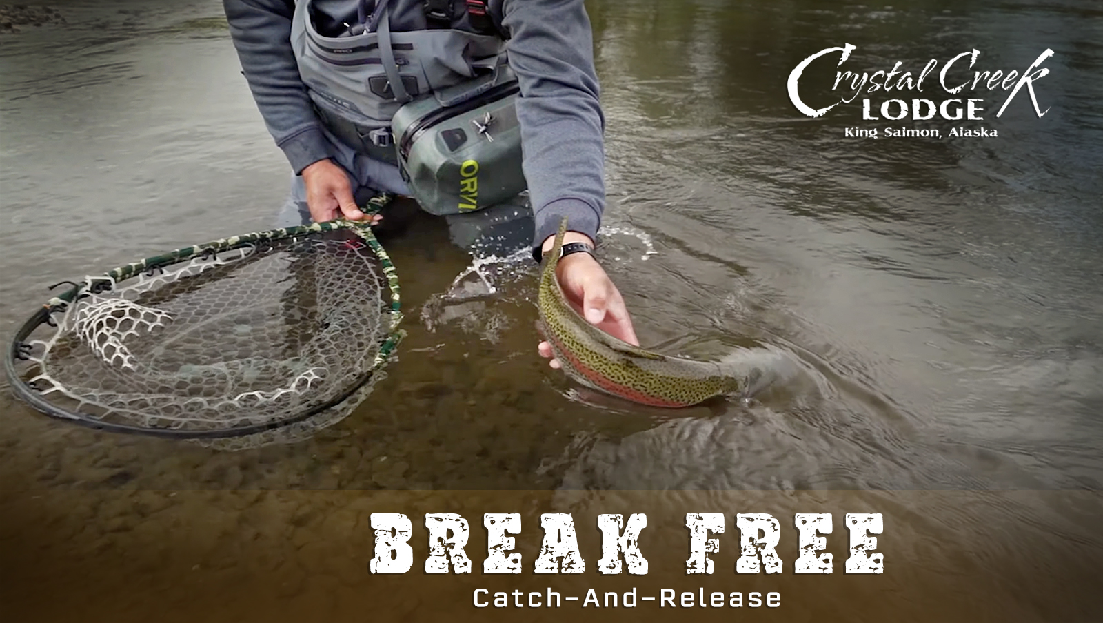 Break Free: Catch-and-Release