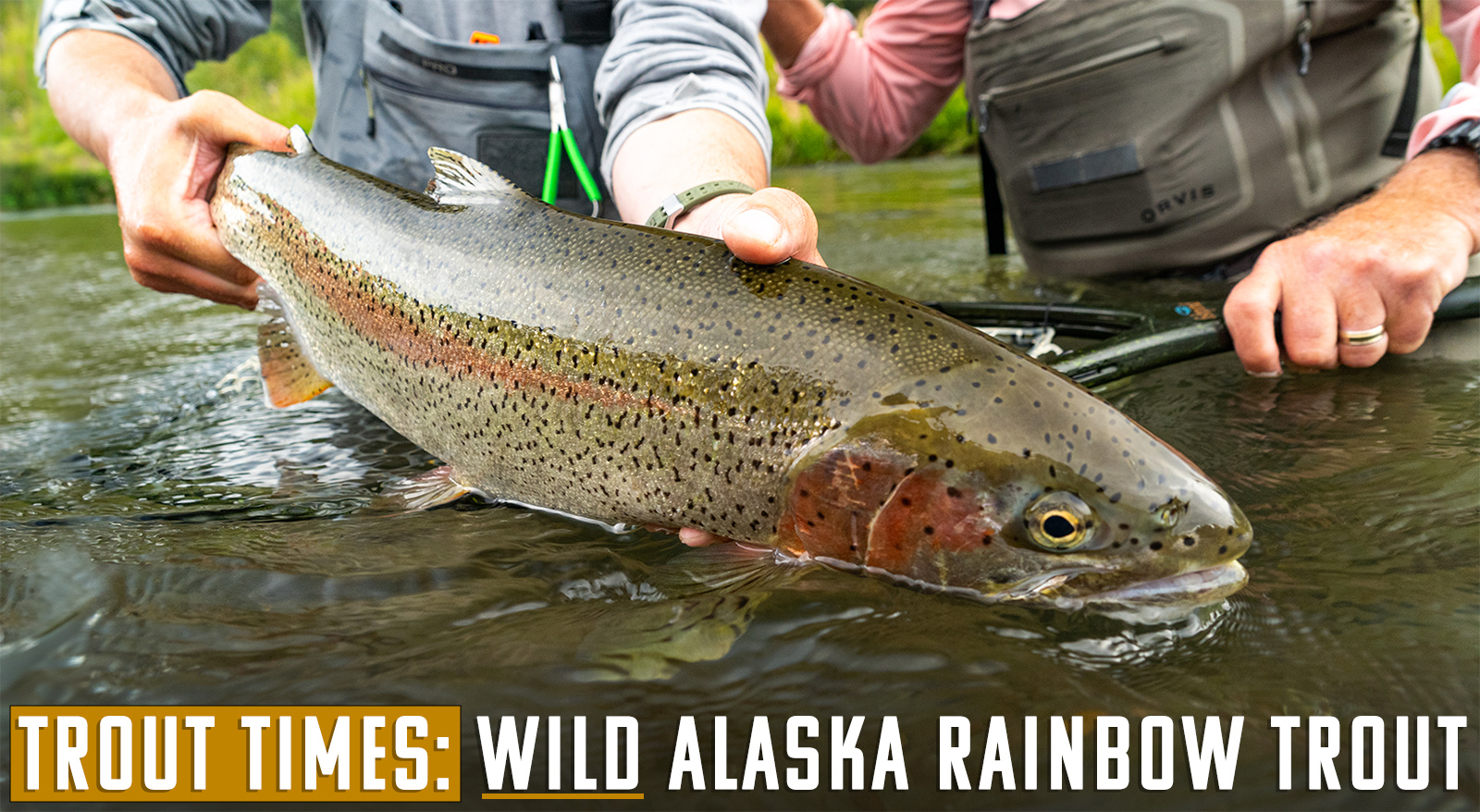 Guest Eye View: Alaska Fishing Lodge Experience