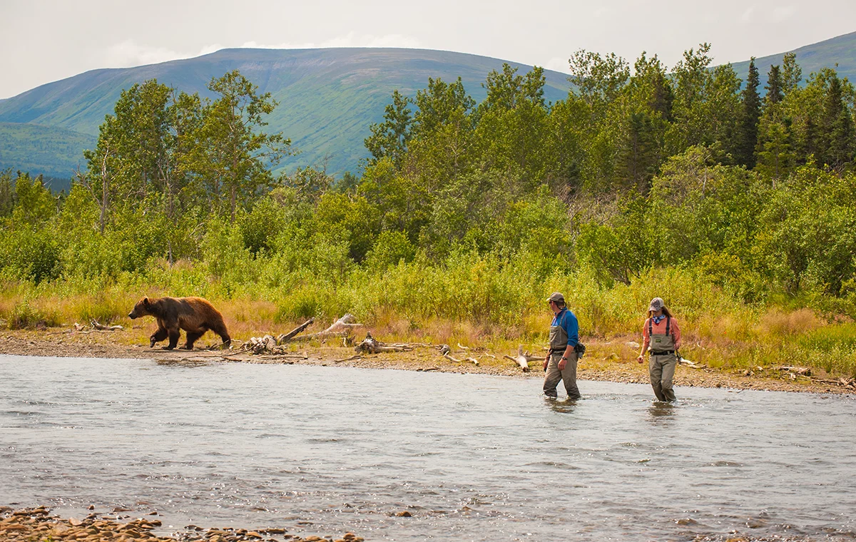 Brown Bear encounter while fishing