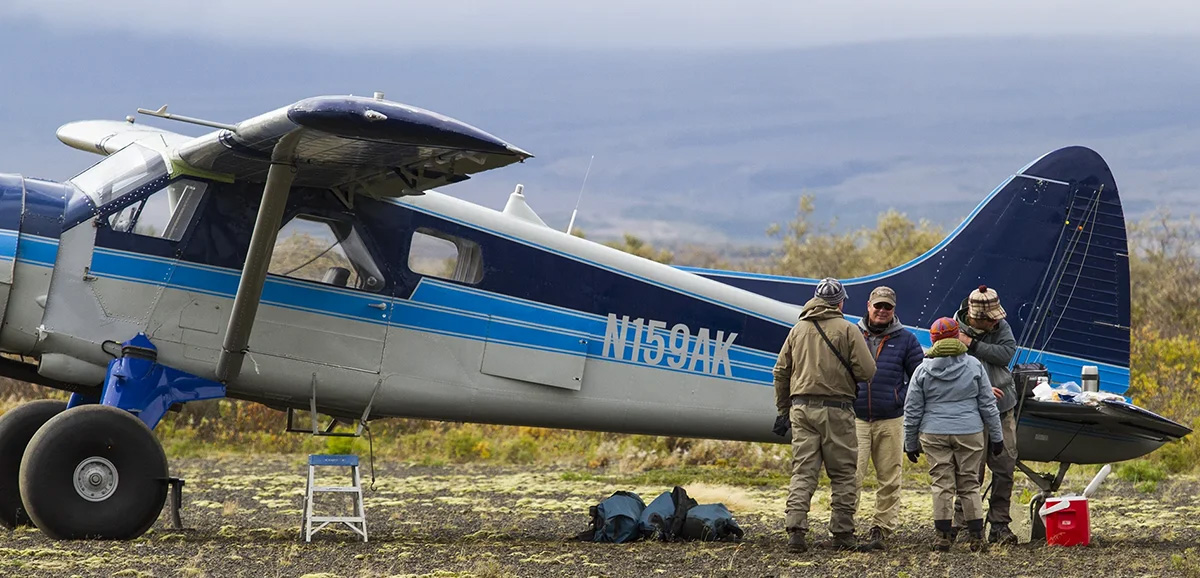 Beaver on wheels at Crystal Creek: Alaska Fishing and Adventure Lodge