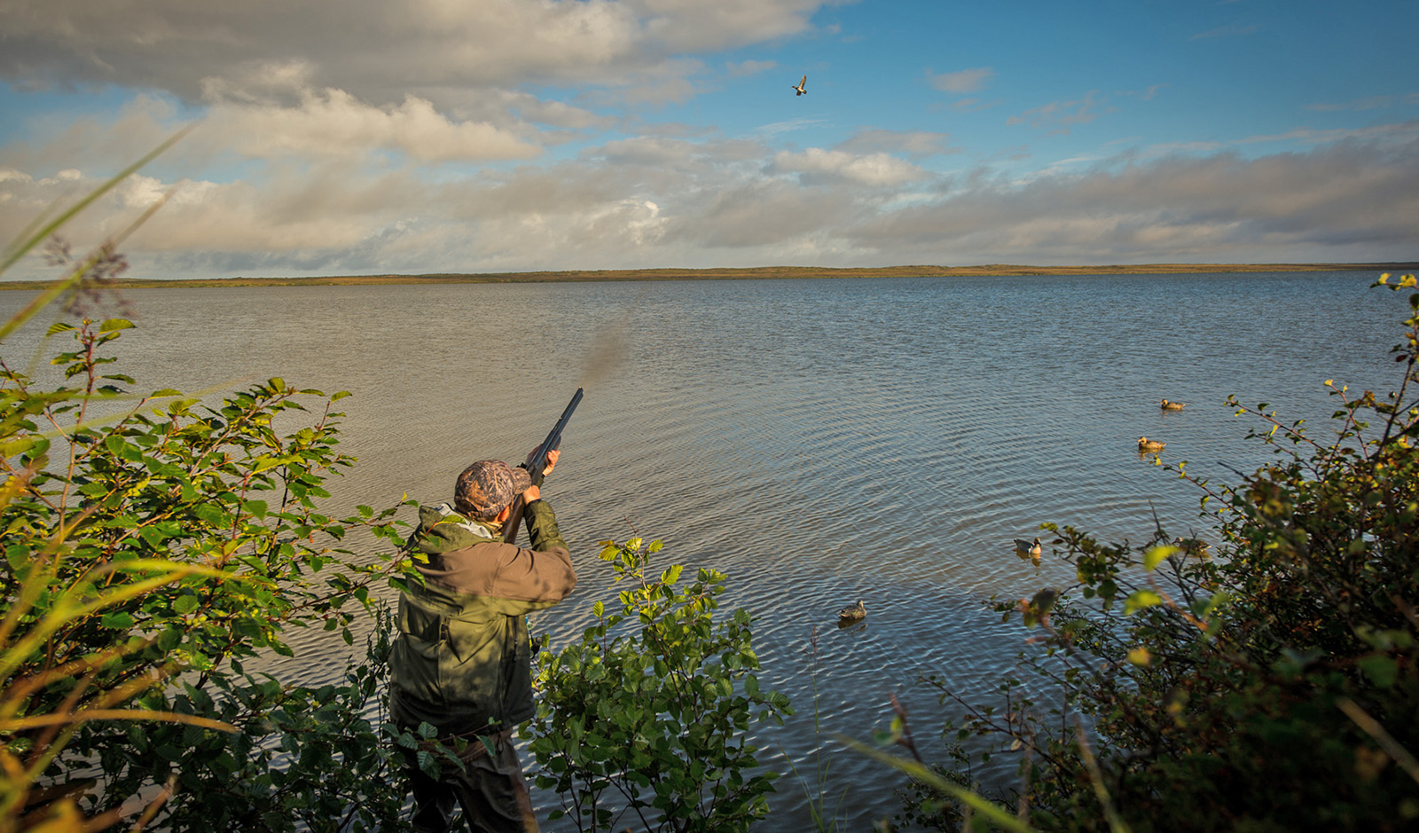 Alaska Guided Duck Hunting