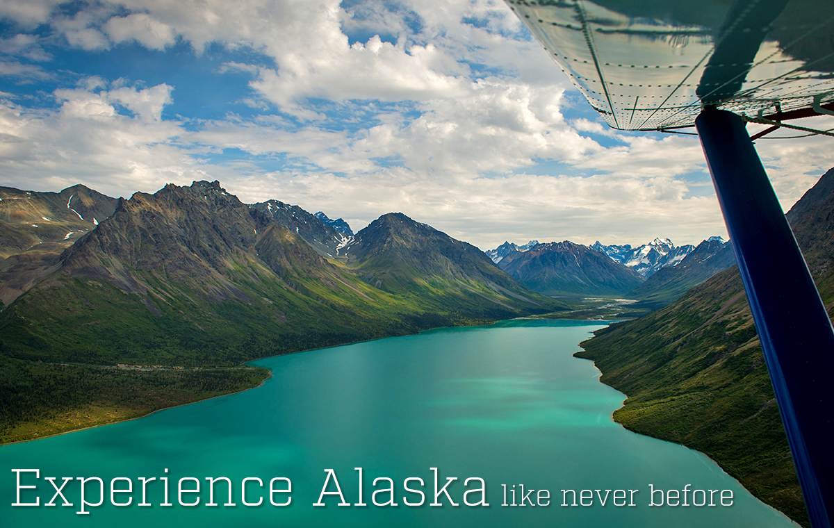 Experience Alaska with a National Park Tour