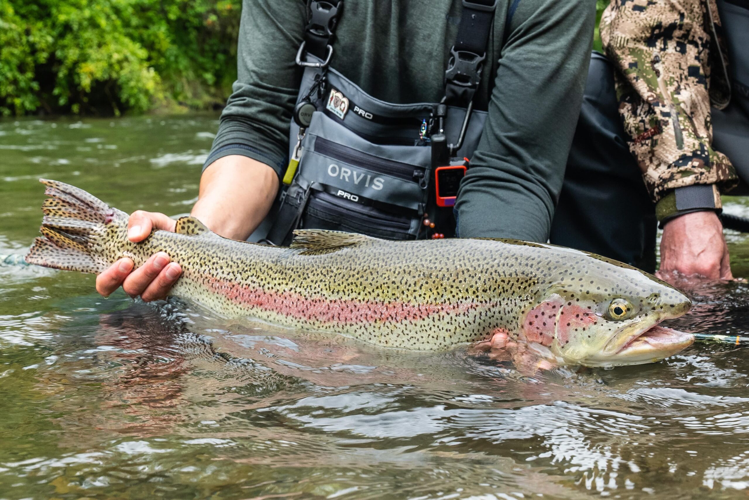 Alaska Trout Season Opening: Be the First to Fish on June 8